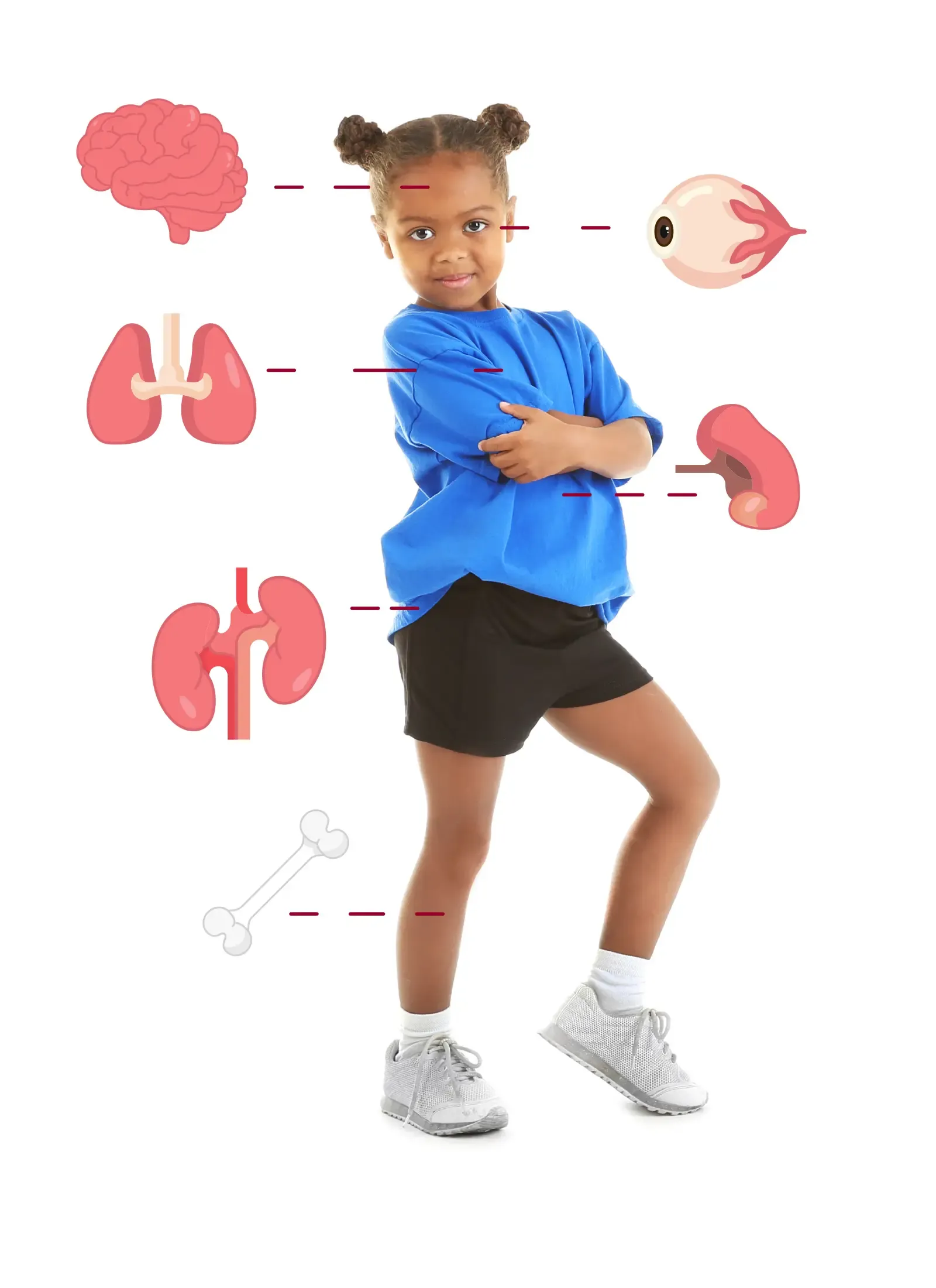 Child and organs affected by SCD